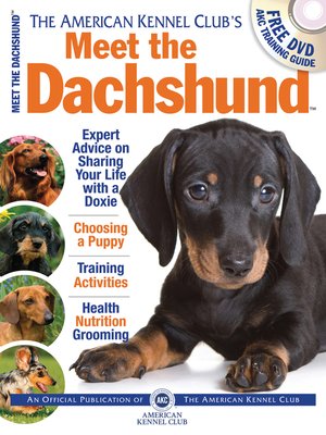 cover image of Meet the Dachshund